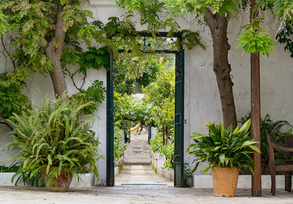 Limonaia in Masseria Frantoio in Ostuni Italy